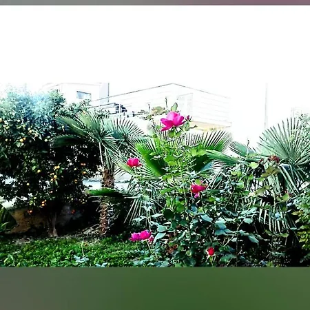 Apartman Centar *